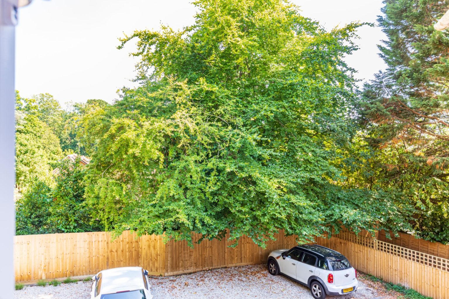 5592f66f-65f4-49a4-a0f2-5538695a4b01